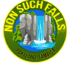 Nonsuch Falls-Portland