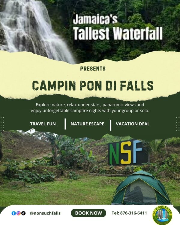 flyer-nonsuch-falls