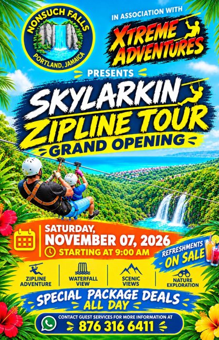 Flyer_nonsuch_falls