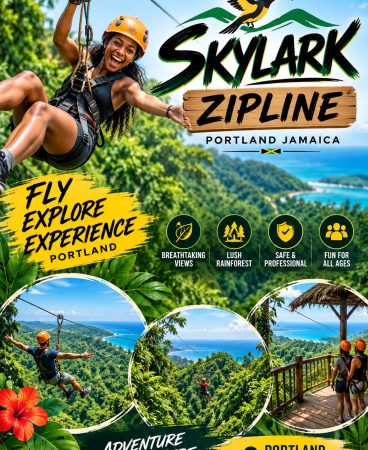 Zipline-nonsuch